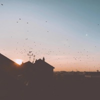 Crossroads - Single - Enzalla