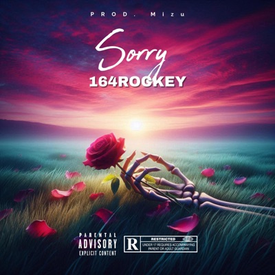 Sorry - Single