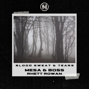 Blood, Sweat & Tears - Single