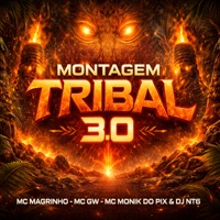 MONTAGEM TRIBAL 3.0 - Single - DJ NT6, Mc Magrinho, MC GW & Mc Monik do pix