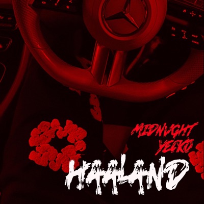 HAALAND (feat. MIDNVGHT) - Single