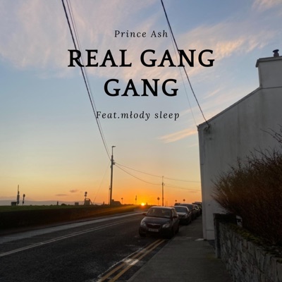 Real gang gang (feat. młody sleep) - Single