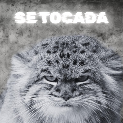 SE TOCADA (EDIT VERSION)