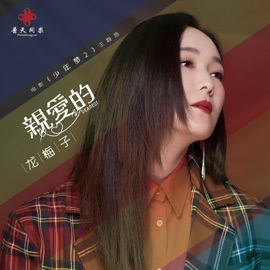 亲爱的(DJ何鹏版)-伴奏 龙梅子