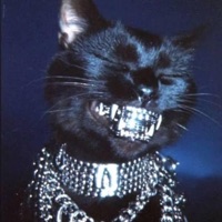 FROM THE 7 - Single - MØB PSYCHØ