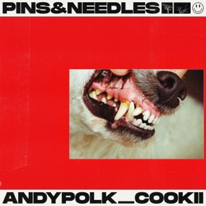pins&needles (feat. cookii) - Single