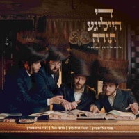 די הייליגע תורה (feat. שוכי גולדשטיין, הרשי סגל & דודי אייזנשטיין) - Single - יואלי דוידוביץ