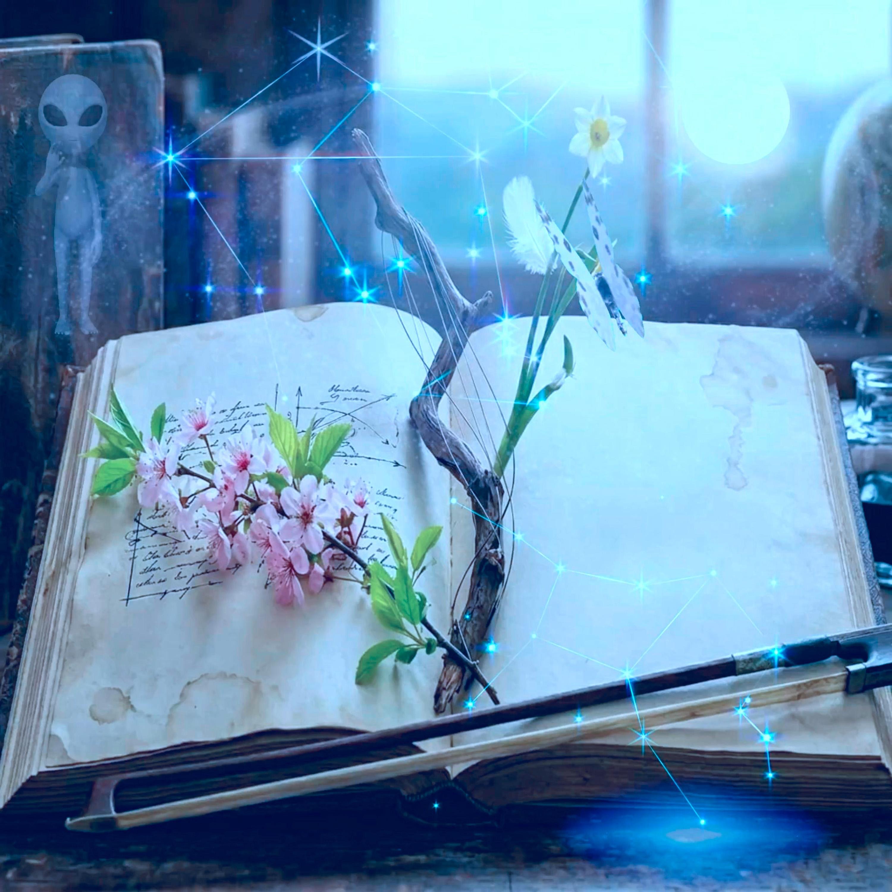 TanjGi - Draft of a Life to Come