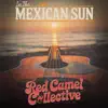 In The Mexican Sun