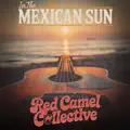 In The Mexican Sun