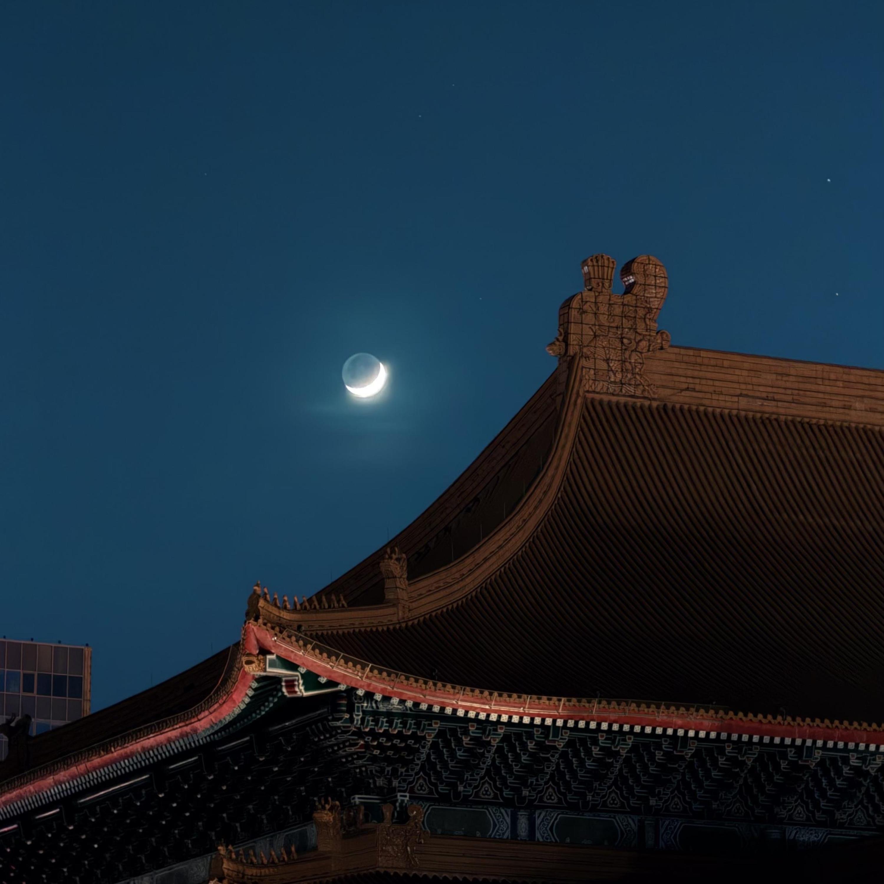 do you do this often - Single