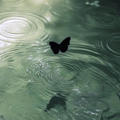 butterfly - Single