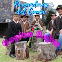 Coplas Cojas (2011) - Single - Parranderos del Cauca Cuatro Más Tres