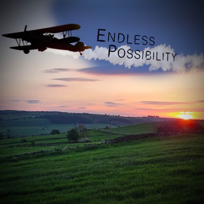 Endless Possibility (From "Sonic Unleashed") [Cover] - Single