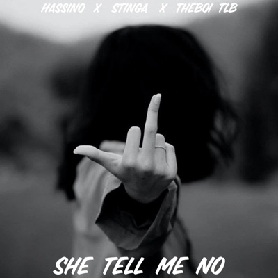 SHE TELL ME NO (feat. Hassino & Stingar) - Single