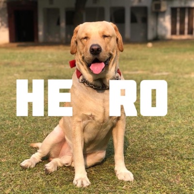 Hero - Single