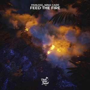 Feed the Fire - Single