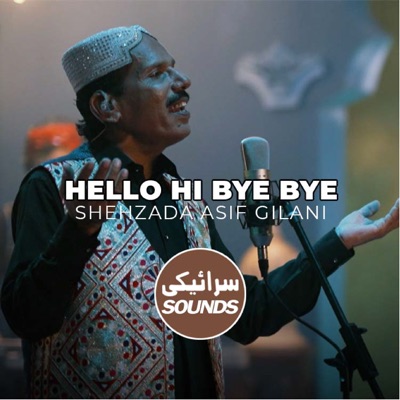 Hello Hi Bye Bye - Single