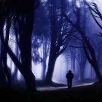 Cerebral Frontiers - EP - Equation, Voltaire & Epsilon