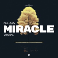 Miracle - Single - Paul Losev