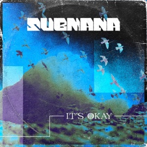 It's Okay (Dub) - Single