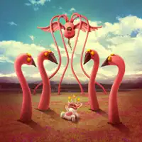 Duat — Trippin Jaguar