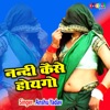 Nandi Kaise Hoygo - Single