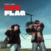 RED FLAG artwork