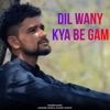 Dil Wany Ba Kya Gam - Single