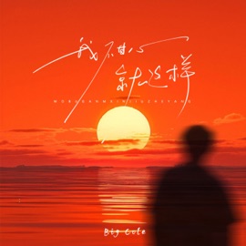 我不甘心就这样 Big Cole