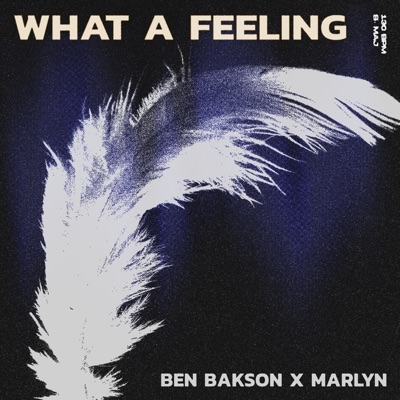 What A Feeling (feat. Marlyn) - Single