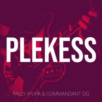 Album cover for Plekess - Single by Fally Ipupa & Commandant DG