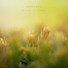 Spring is Coming - Morunas