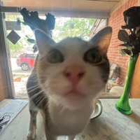 frost - Single - Fxckzeez