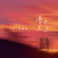 普通关系 - Single - Wang Ye & 张雅淇