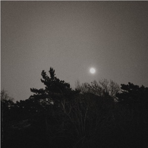 Christmas Dream - Single