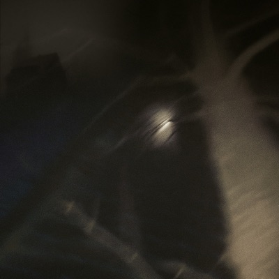 i don't wanna live forever (feat. 静的 Static & VITO) - Single