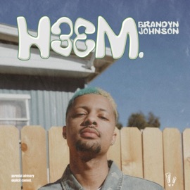 Date Brandyn Johnson