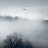 Liminal - Poppy Ackroyd