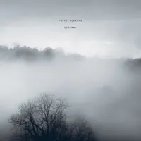 In the Mist — Poppy Ackroyd