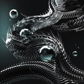 Warning Kanine & Doktor