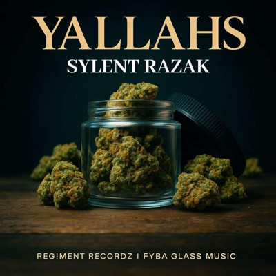 Yallahs (feat. Sylent Razak & Fyba) - Single