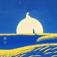月儿明,风儿轻 - Single - 谢又