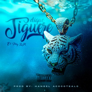 Dique Tiguere
