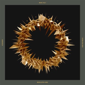 Modulated Lions - Single