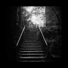 Don’t Go. Harry Hawaii