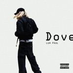 Dove - Single