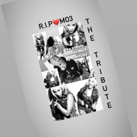 The tribute (Outside Mo3) - Single - Starrfyha