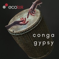 Conga Gypsy - Single - Ecotek