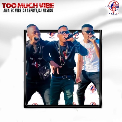 Too much vibe (feat. Dj sepryz & Dj Ntsido) - Single